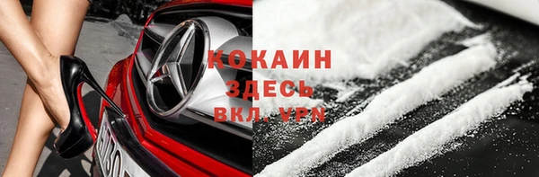 стафф Аркадак