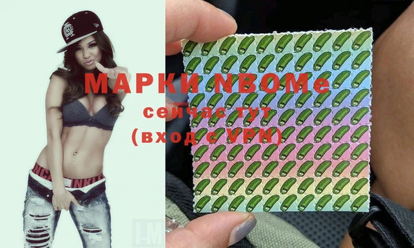 дурь Арсеньев