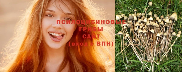 стафф Аркадак