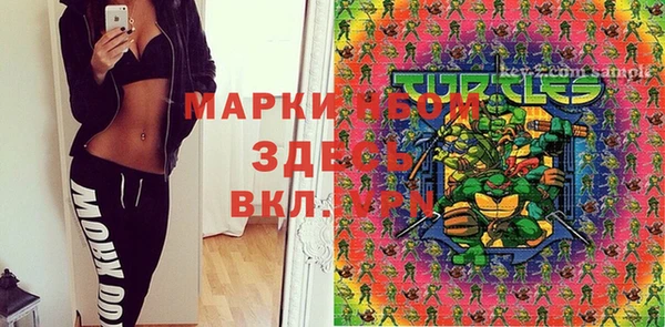 дурь Арсеньев