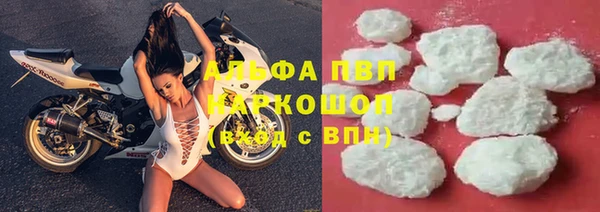 стафф Аркадак