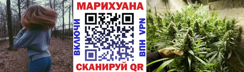 где купить наркоту  Луга  Бошки Шишки VHQ 
